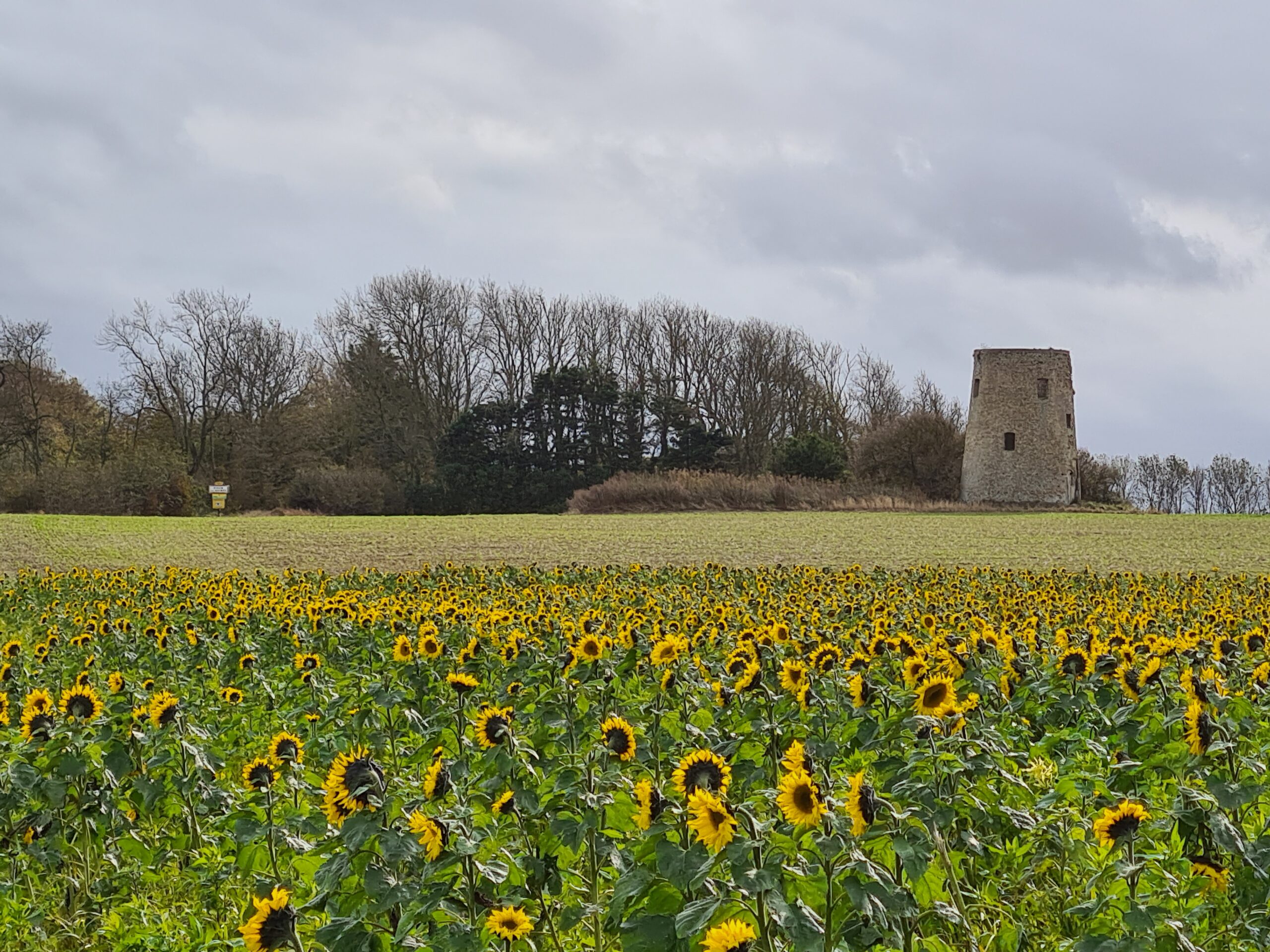 Moulin - Pihen les Guines