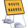 Lire la suite à propos de l’article Route barrée (RD244)